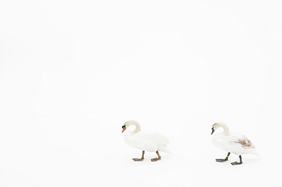 BUITEN BEELD Foto: 161567