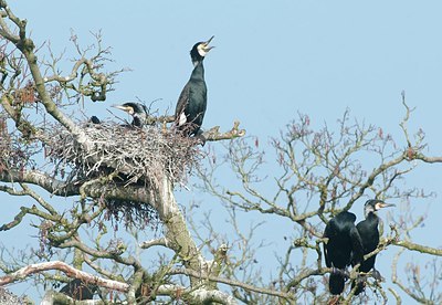 BUITEN BEELD Foto: 161605