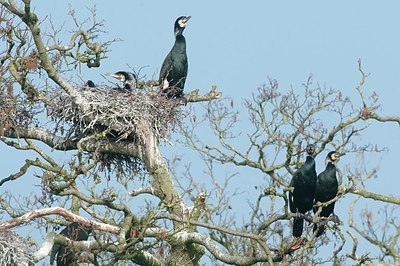 BUITEN BEELD Foto: 161611