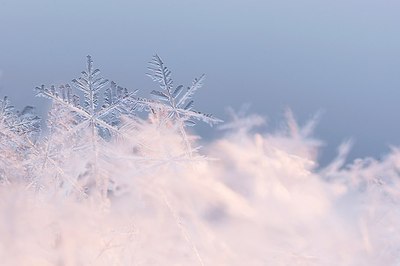 BUITEN BEELD Foto: 161674
