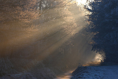 BUITEN BEELD Foto: 161676
