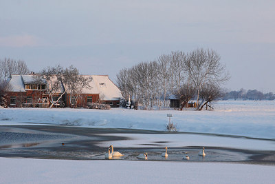 BUITEN BEELD Foto: 161718
