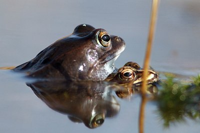 BUITEN BEELD Foto: 161720