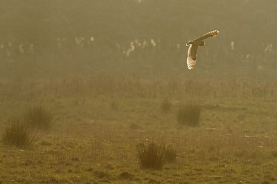 BUITEN BEELD Foto: 161731