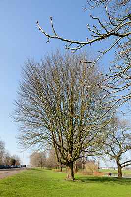 BUITEN BEELD Foto: 161739