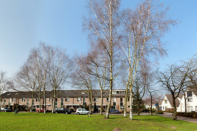 BUITEN BEELD Foto: 161741