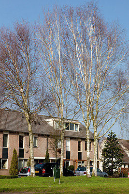 BUITEN BEELD Foto: 161743