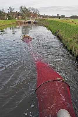 BUITEN BEELD Foto: 161774