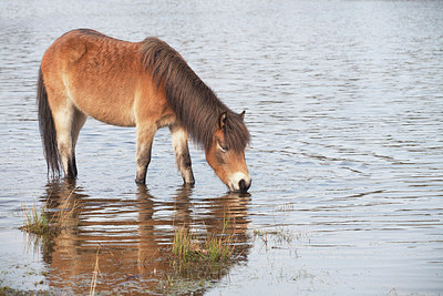 BUITEN BEELD Foto: 161783