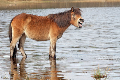 BUITEN BEELD Foto: 161815