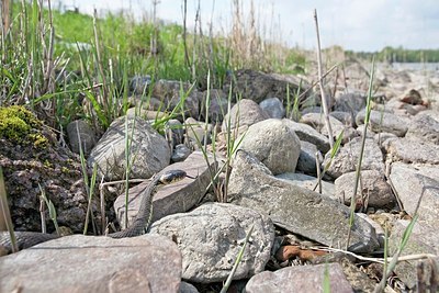 BUITEN BEELD Foto: 161818