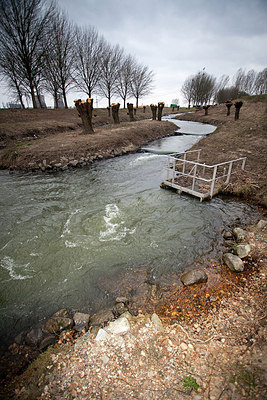 BUITEN BEELD Foto: 161831