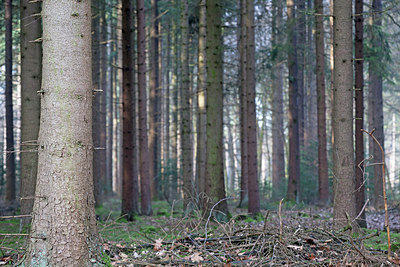 BUITEN BEELD Foto: 161846