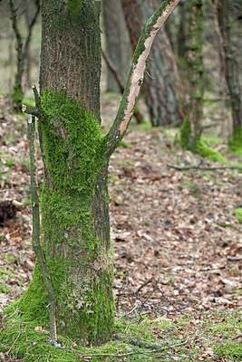 BUITEN BEELD Foto: 161851