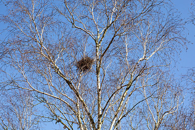 BUITEN BEELD Foto: 161864