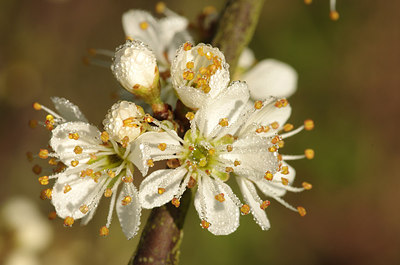 BUITEN BEELD Foto: 161867