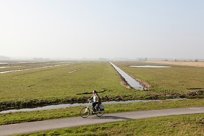 BUITEN BEELD Foto: 161942