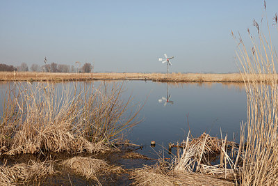 BUITEN BEELD Foto: 161956