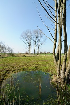 BUITEN BEELD Foto: 162010