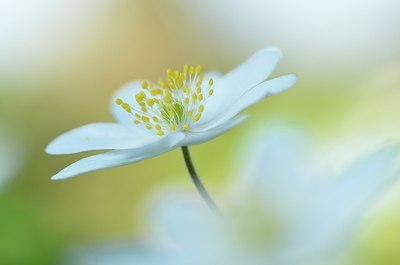 BUITEN BEELD Foto: 162029