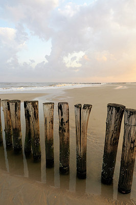 BUITEN BEELD Foto: 162041