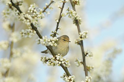 BUITEN BEELD Foto: 162059