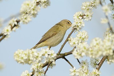 BUITEN BEELD Foto: 162063