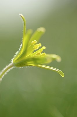 BUITEN BEELD Foto: 162079