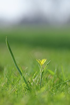 BUITEN BEELD Foto: 162085