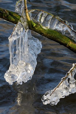 BUITEN BEELD Foto: 162114