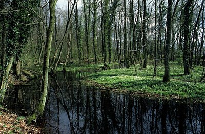 BUITEN BEELD Foto: 162155