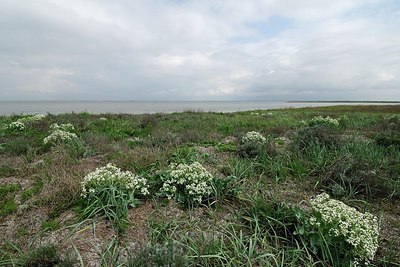 BUITEN BEELD Foto: 162171