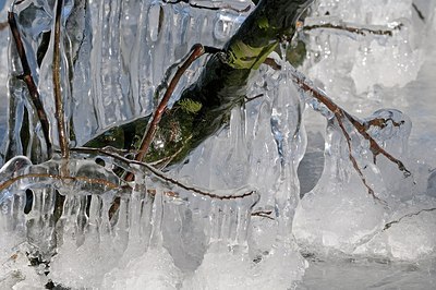 BUITEN BEELD Foto: 162194
