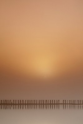 BUITEN BEELD Foto: 162260