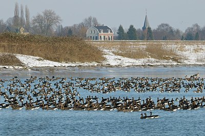 BUITEN BEELD Foto: 162284