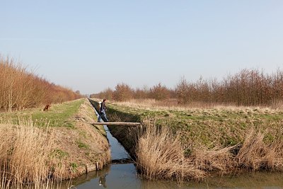 BUITEN BEELD Foto: 162342