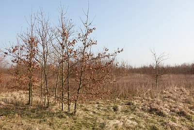 BUITEN BEELD Foto: 162345