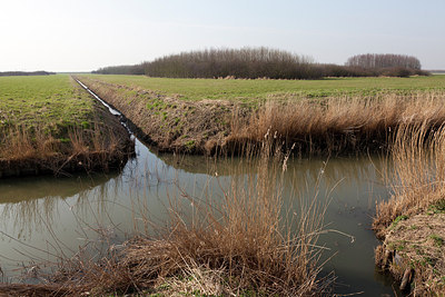 BUITEN BEELD Foto: 162348