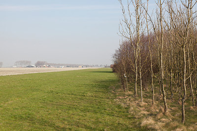 BUITEN BEELD Foto: 162355