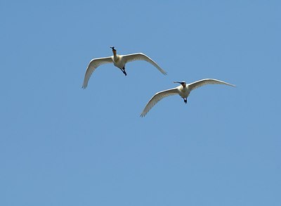 BUITEN BEELD Foto: 162358