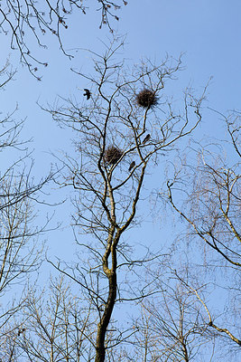 BUITEN BEELD Foto: 162389