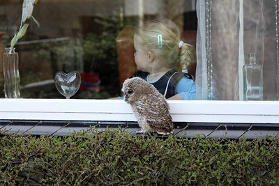 BUITEN BEELD Foto: 162408