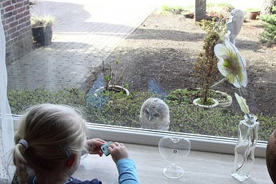BUITEN BEELD Foto: 162409