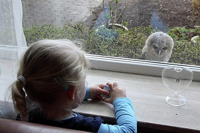 BUITEN BEELD Foto: 162410