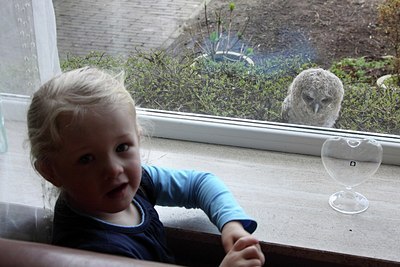 BUITEN BEELD Foto: 162411