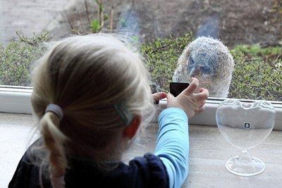 BUITEN BEELD Foto: 162412