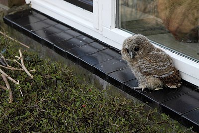 BUITEN BEELD Foto: 162415