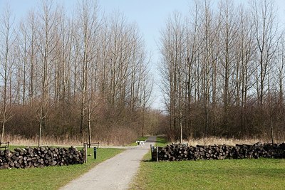 BUITEN BEELD Foto: 162431