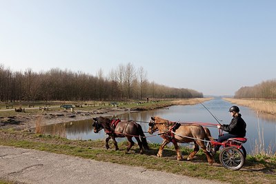 BUITEN BEELD Foto: 162433