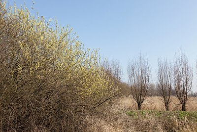BUITEN BEELD Foto: 162439